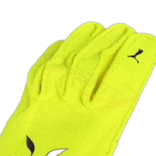 2023 Lewis Hamilton Mercedes F1 Race Gloves